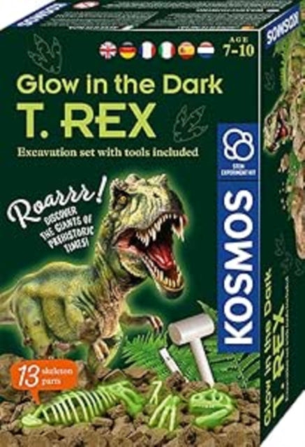Book cover of: MBE Glow in the Dark T. REX