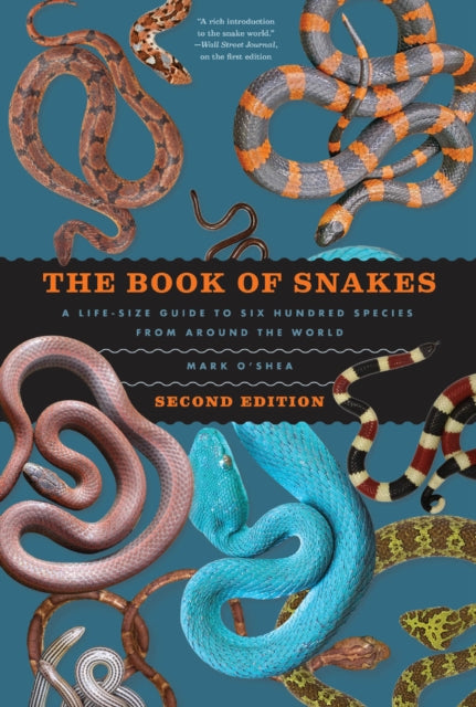 Book cover of: Book of Snakes. By: Mark O'Shea