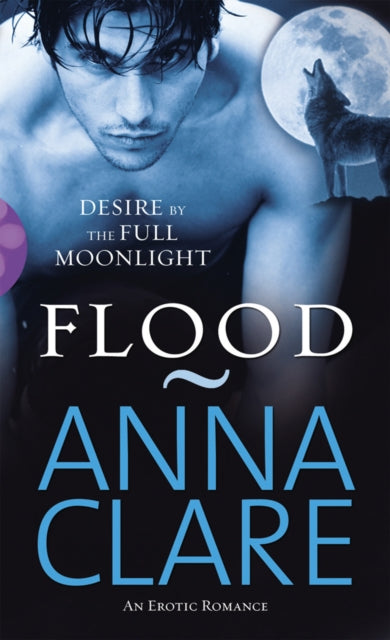 Book cover of: Flood. By: Anna Clare