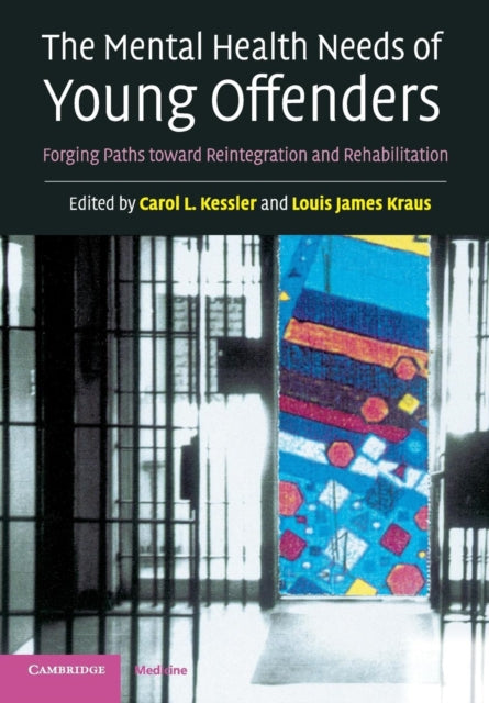 Book cover of: Mental Health Needs of Young Offenders