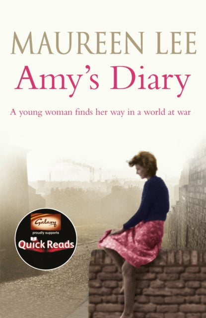 Book cover of: Amy's Diary
