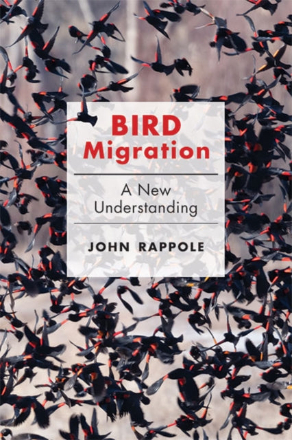 Book cover of: Bird Migration. By: John H. Rappole