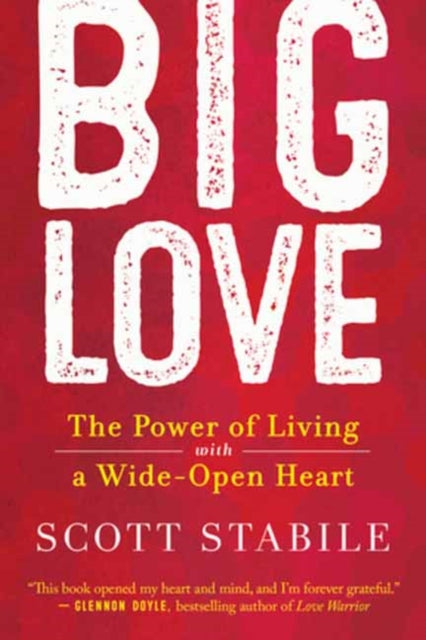 Book cover of: Big Love