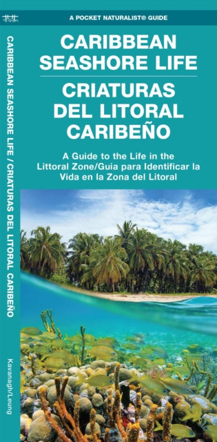 Book cover of: Caribbean Seashore Life (Criaturas del Litoral Caribeno)