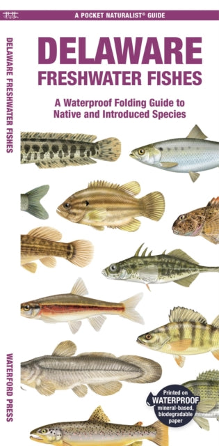 Book cover of: Delaware Freshwater Fishes. By: Waterford Press Staff