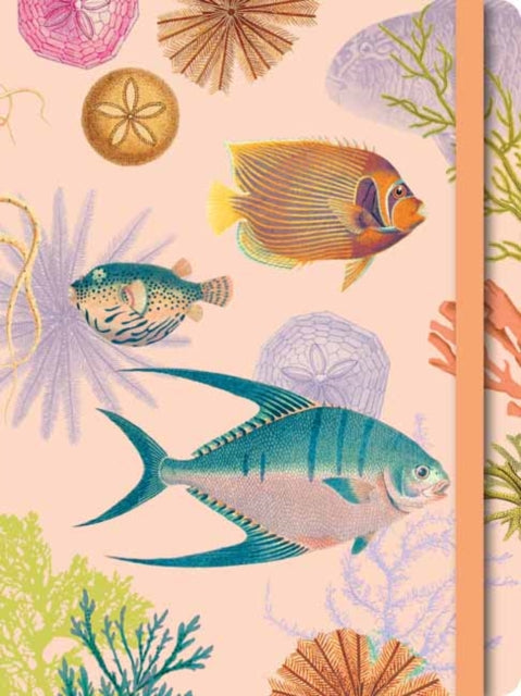 Book cover of: Art of Nature: Under the Sea Softcover Notebook. By: Insights