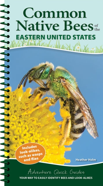 Book cover of: Common Backyard Bees of the Eastern United States. By: Heather Holm