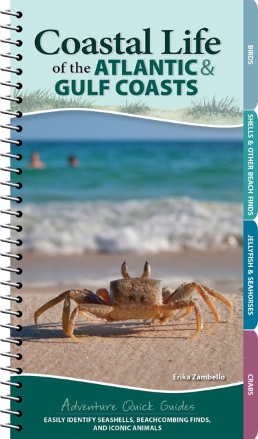 Book cover of: Coastal Life of the Atlantic and Gulf Coasts. By: Erika Zambello