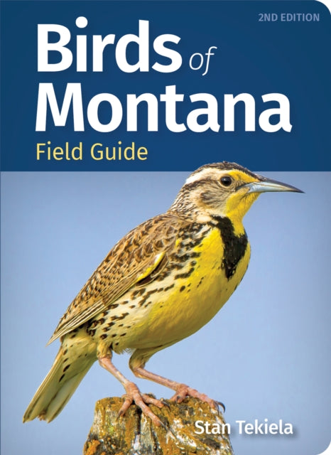 Book cover of: Birds of Montana Field Guide. By: Stan Tekiela
