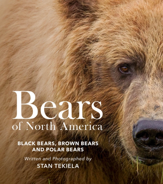 Book cover of: Bears of North America. By: Stan Tekiela