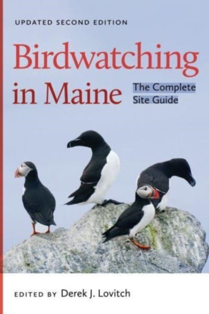 Book cover of: Birdwatching in Maine. By: Derek J. Lovitch