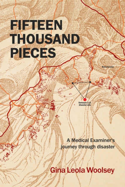 Book cover of: Fifteen Thousand Pieces. By: Gina Leola Woolsey