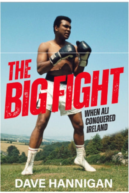 Book cover of: The Big Fight