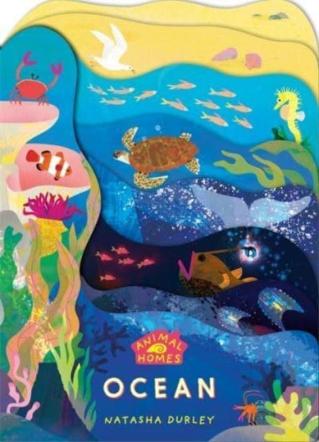 Book cover of: Animal Homes: Ocean. By: Natasha Durley