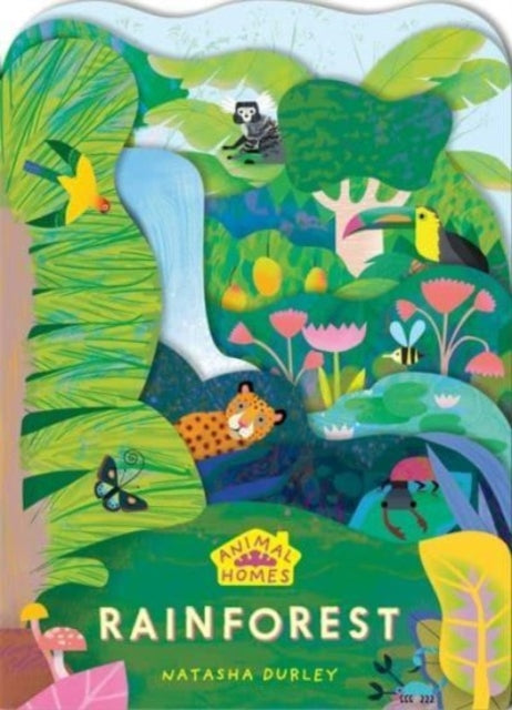 Book cover of: Animal Homes: Rainforest. By: Natasha Durley