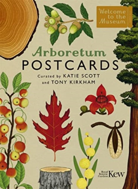 Book cover of: Arboretum Postcards