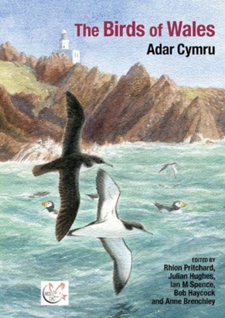 Book cover of: Birds of Wales. By: Rhion Pritchard