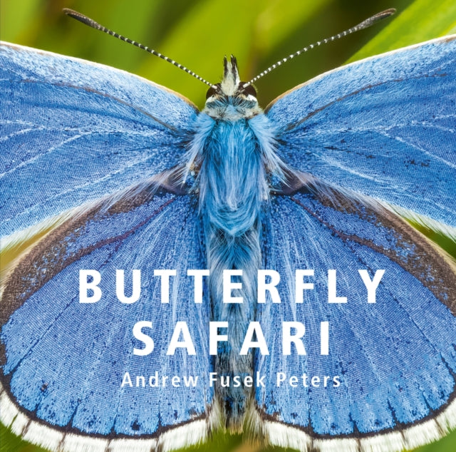 Book cover of: Butterfly Safari. By: Andrew Fusek Peters