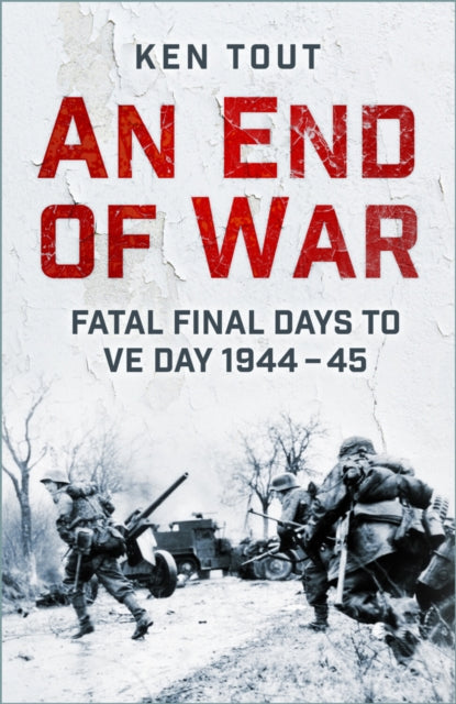 Book cover of: An End of War
