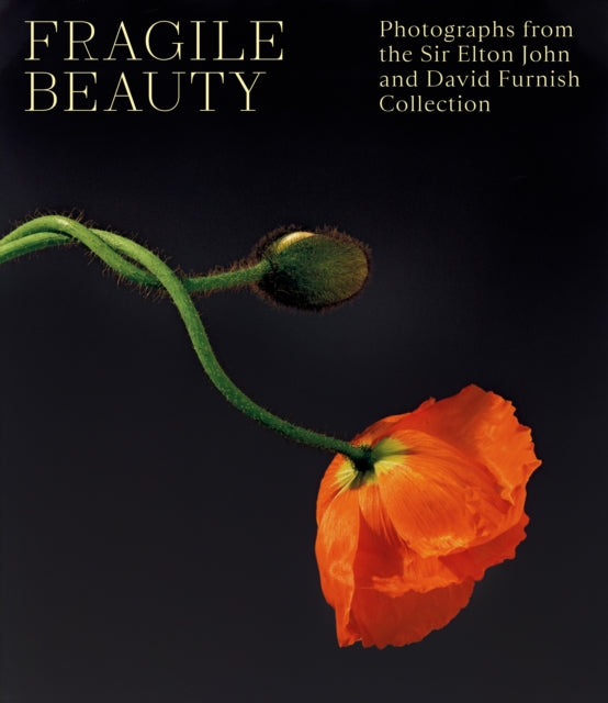 Book cover of: Fragile Beauty. By: Duncan Forbes