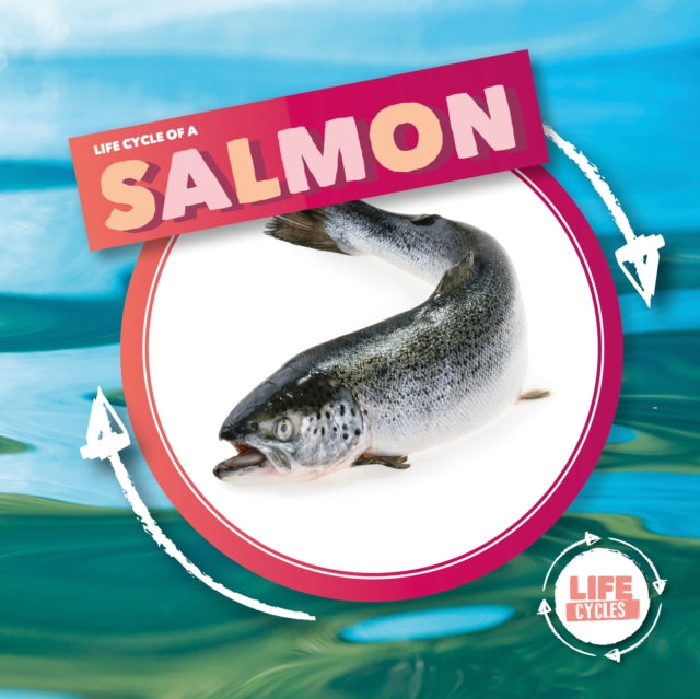 Book cover of: Life Cycle Of A Salmon. By: Kirsty Holmes
