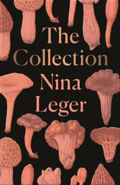 Book cover of: The Collection. By: Nina Leger