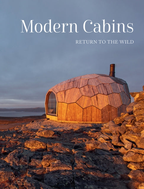 Book cover of: Modern Cabins. By: DESAI