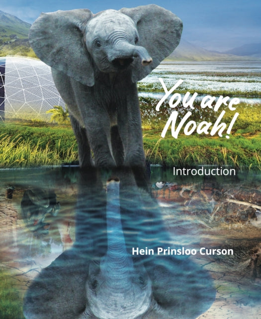 Book cover of: You are Noah!: Introduction. By: Hein Prinsloo Curson