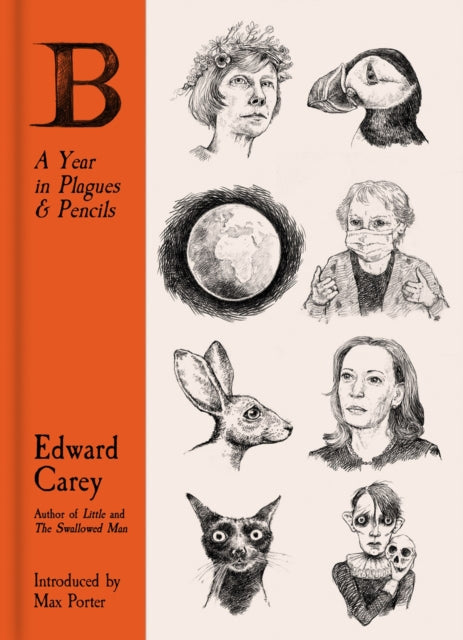 Book cover of: B: A Year in Plagues and Pencils. By: Edward Carey