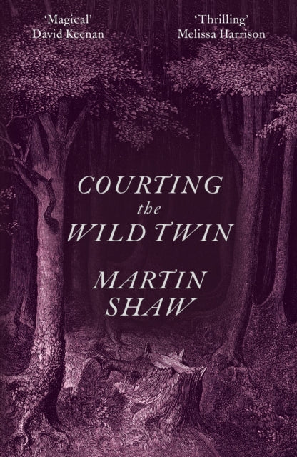 Book cover of: Courting the Wild Twin