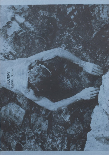 Book cover of: Fluent