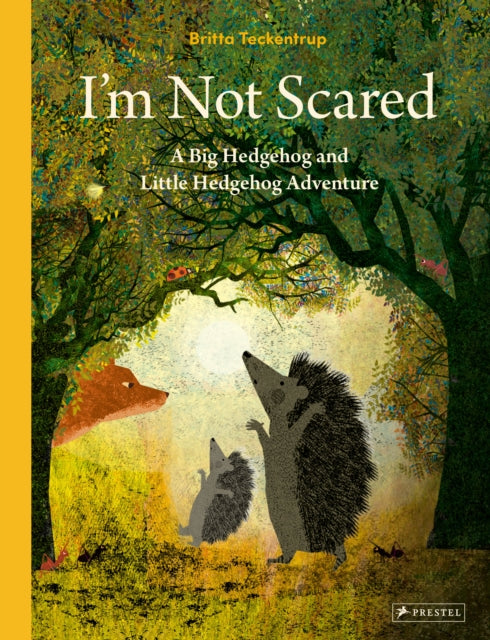 Book cover of: I'm Not Scared. By: Britta Teckentrup