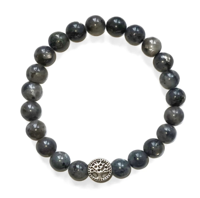 Book cover of: Crystal Bracelet - Labradorite