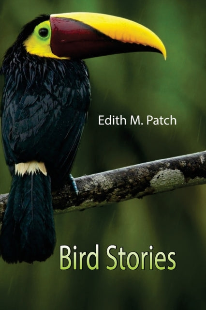 Book cover of: Bird Stories