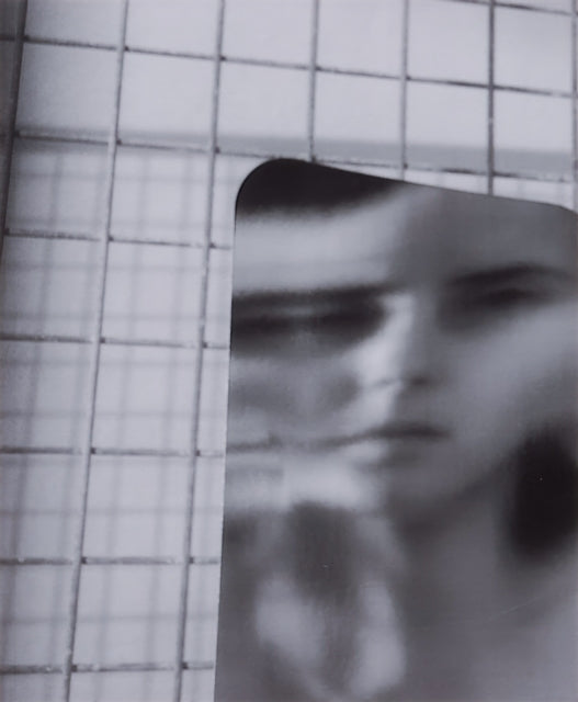 Book cover of: Dynasty