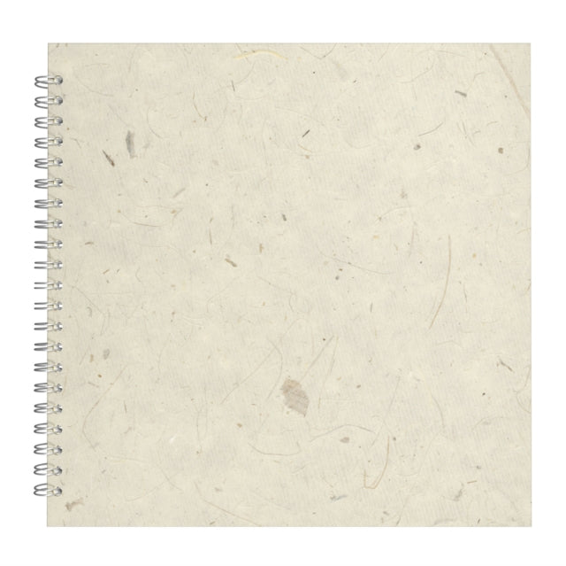 11x11 Posh Black Display 25lvs Natural Banana