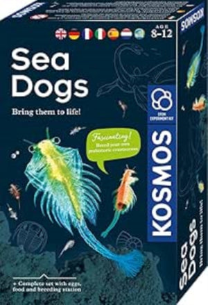 MBE Sea Dogs