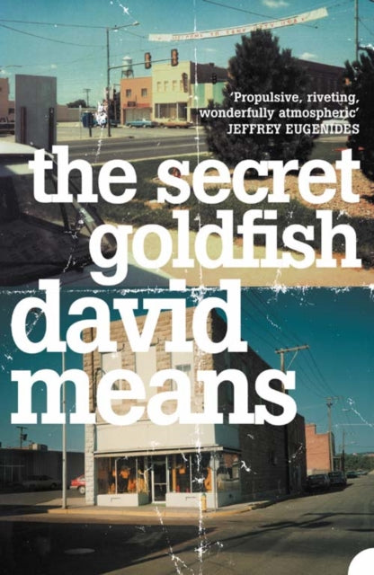 Book cover of: Secret Goldfish. By: David Means