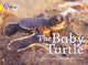 Baby Turtle, Band 03/Yellow 9780007186594 Andy Belcher