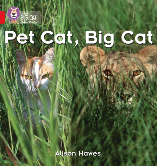 Book cover of: Pet Cat, Big Cat
