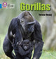 Book cover of: Gorillas. By: Teresa Heapy