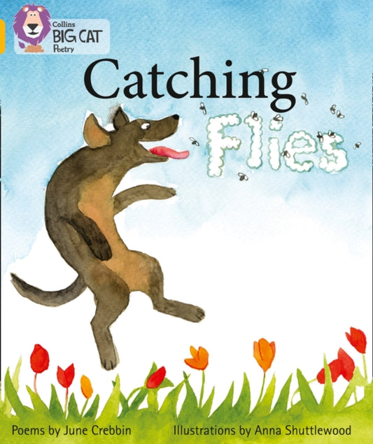 Book cover of: Catching Flies. By: June Crebbin