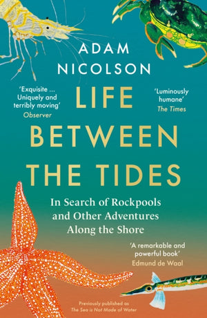 Life Between the Tides, In Search of Rockpools and Other Adventures Along the Shore