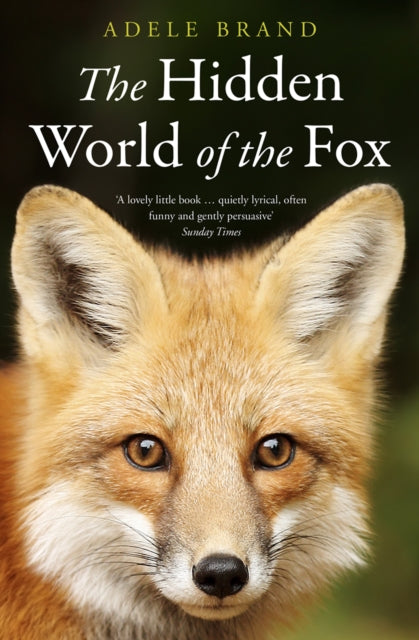 Book cover of: Hidden World of the Fox. By: Adele Brand