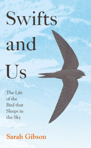 Swifts and Us, The Life of the Bird That Sleeps in the Sky