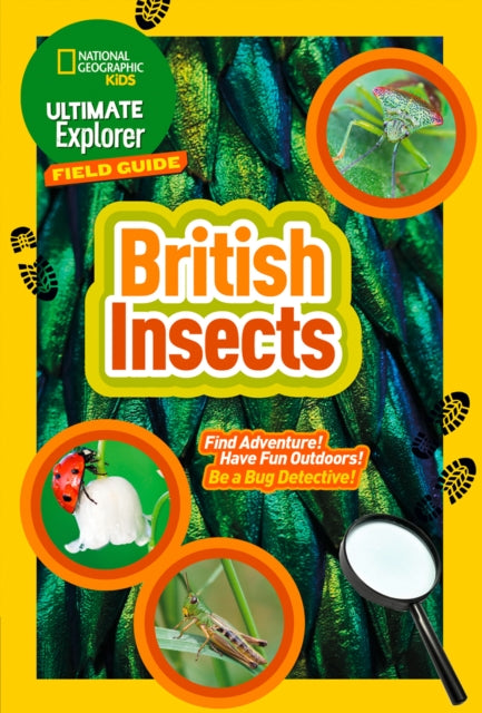 Book cover of: Ultimate Explorer Field Guides British Insects. By: National Geographic Kids