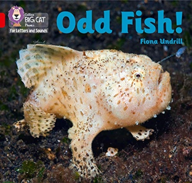Book cover of: Odd Fish!. By: Fiona Undrill