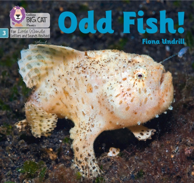 Odd Fish!, Phase 3 Set 1 9780008504496 Fiona Undrill