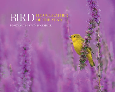 Bird Photographer of the Year