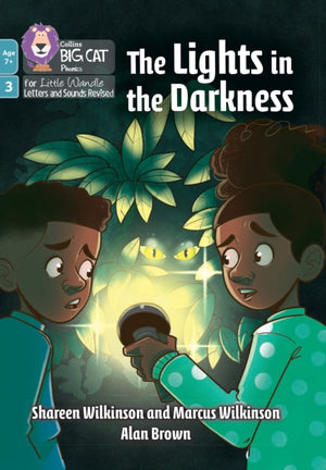 Lights in the Darkness